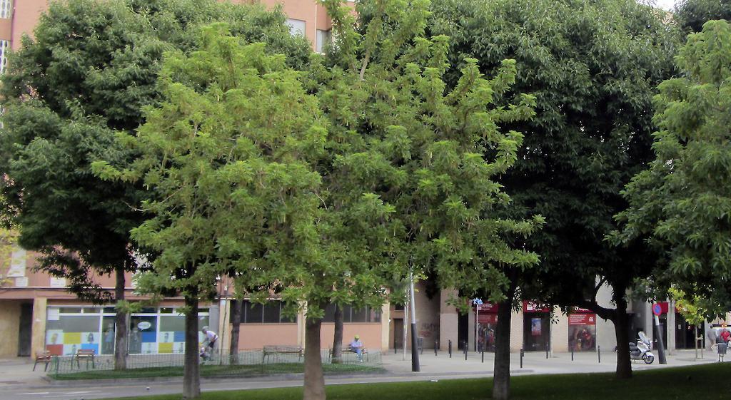 Apartment Cardenal Reig Barcelona